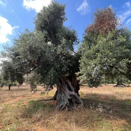 Lamia Millanta 빌라