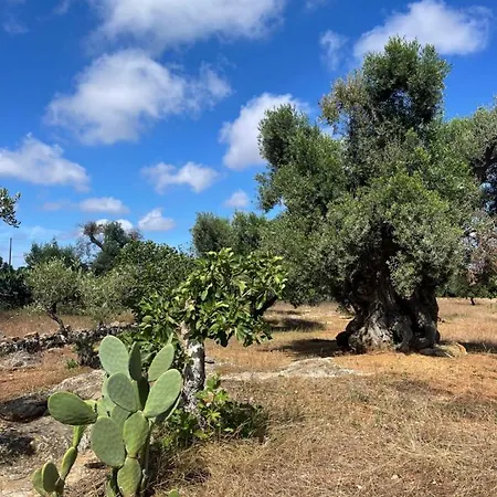 Lamia Millanta Villanova di Ostuni