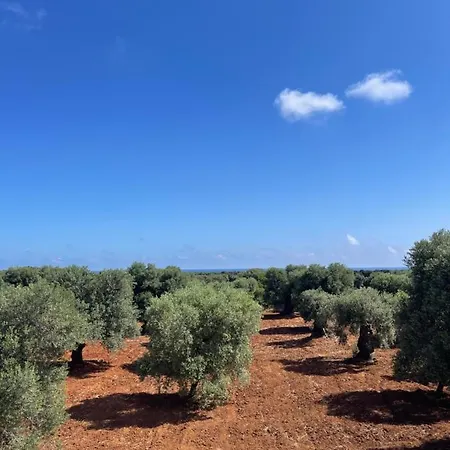 Lamia Millanta * Villanova di Ostuni