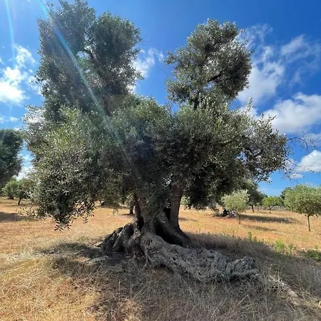 Lamia Millanta Villa Villanova di Ostuni